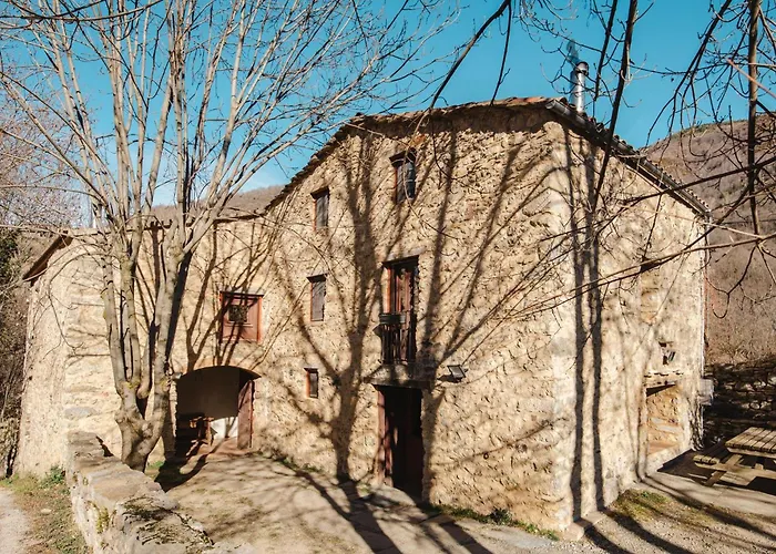 Cal Pai
